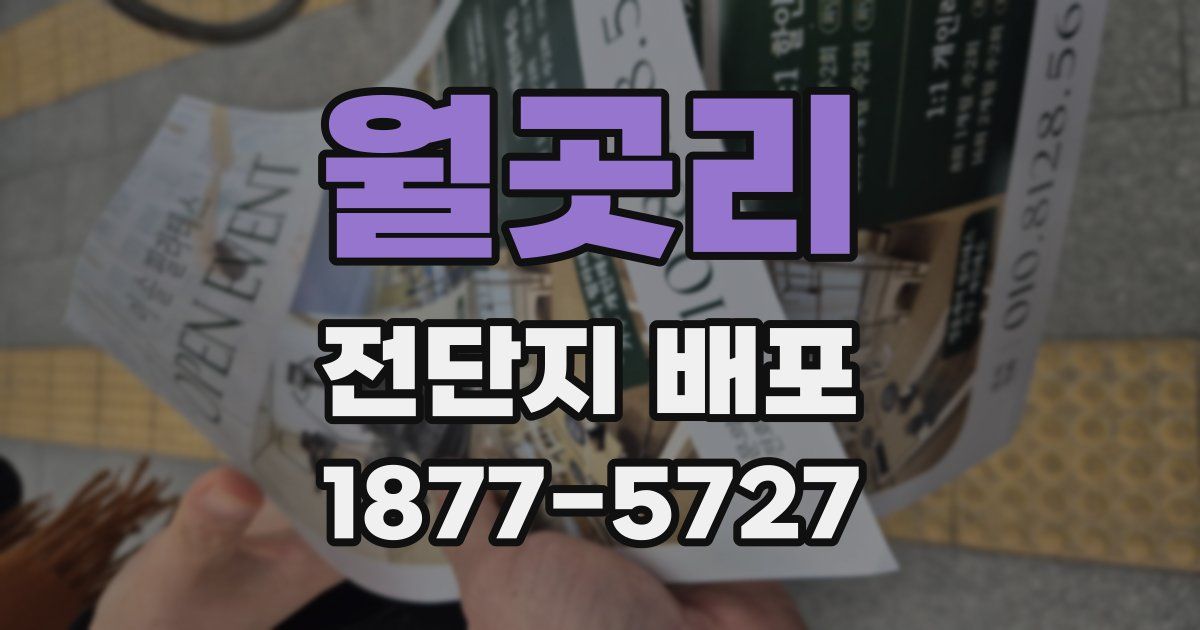 월곳리 전단지 배포