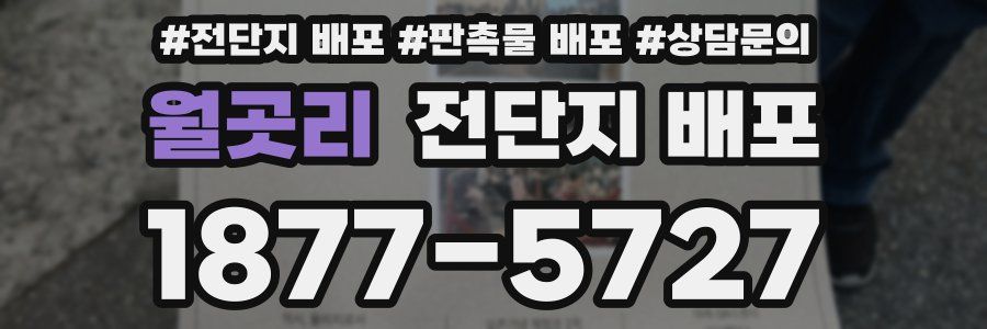 월곳리 전단지 배포