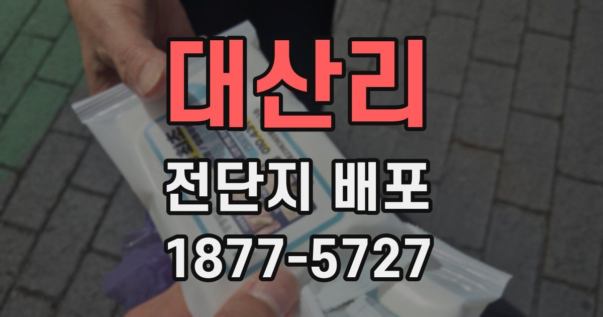 대산리 전단지 배포
