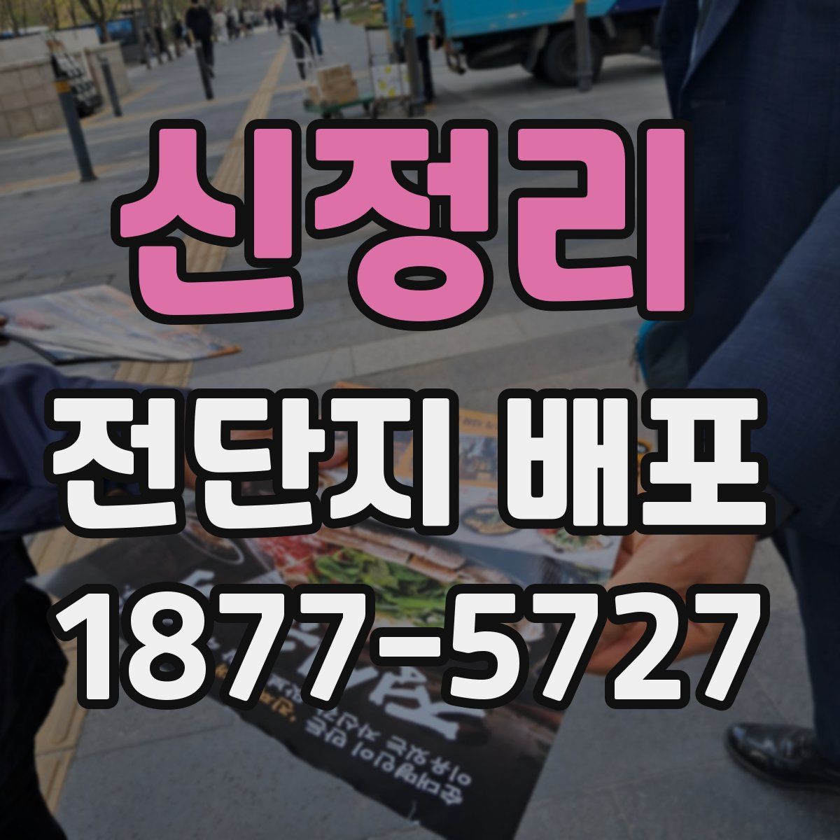 신정리 전단지 배포