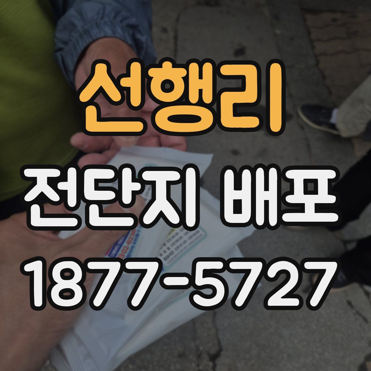 선행리 전단지 배포