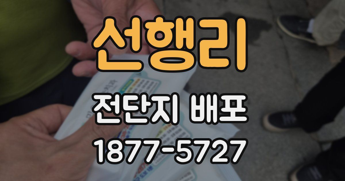 선행리 전단지 배포
