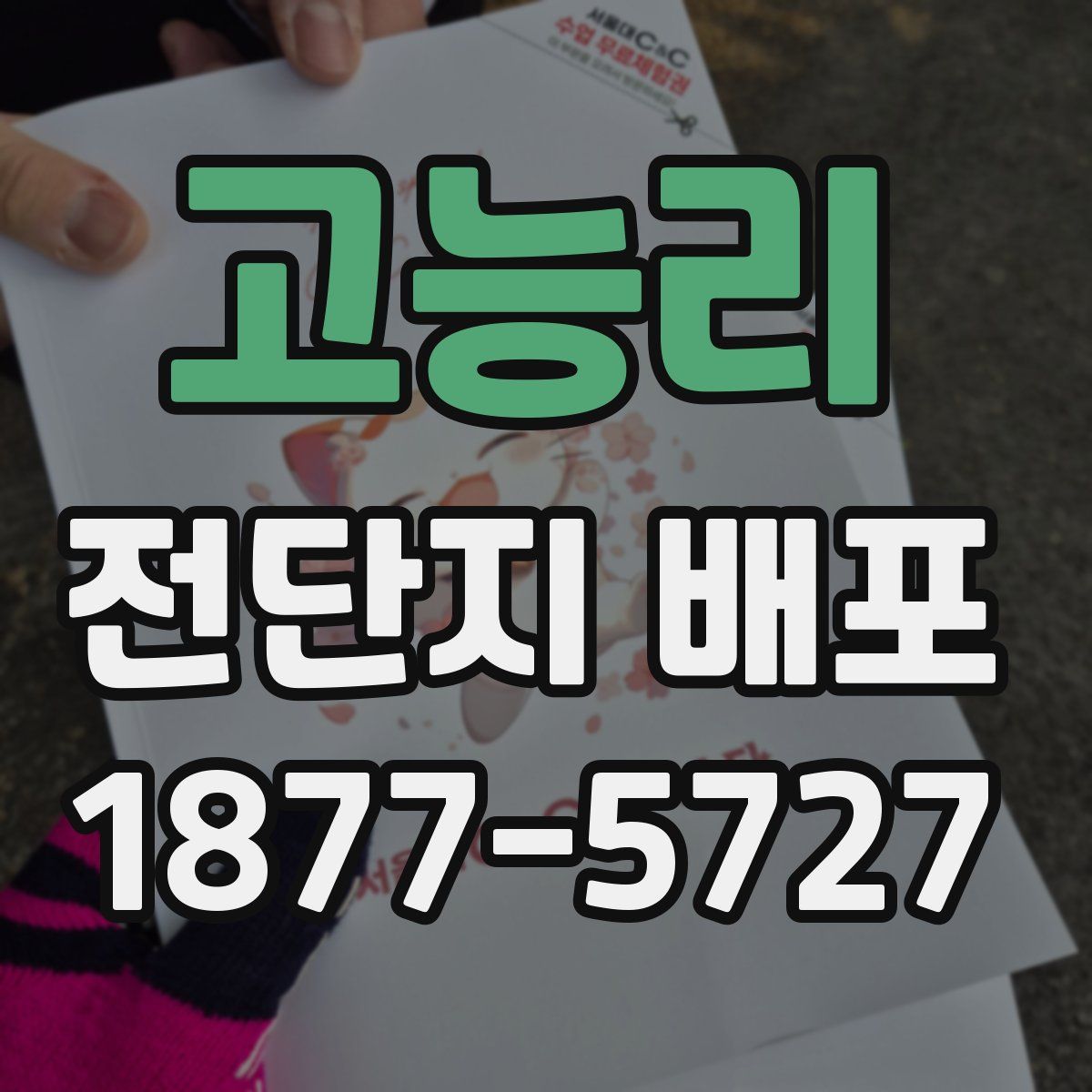 고능리 전단지 배포