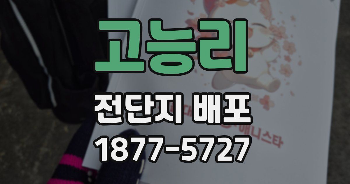 고능리 전단지 배포