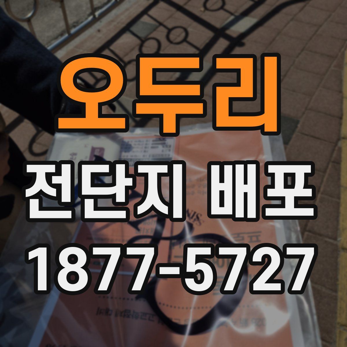 오두리 전단지 배포
