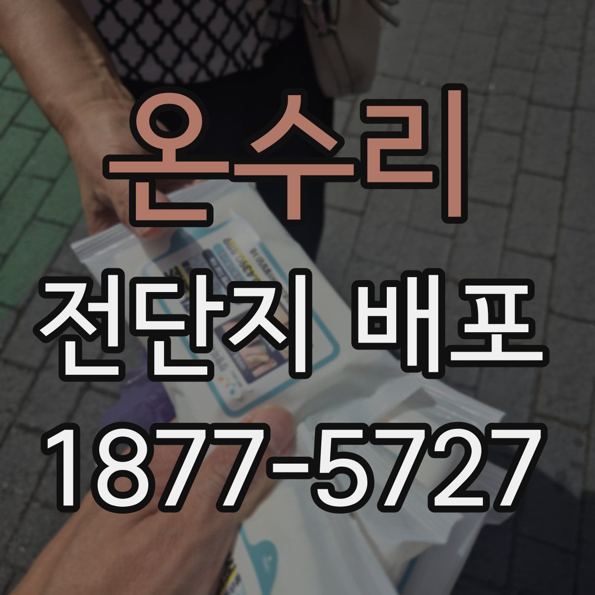 온수리 전단지 배포