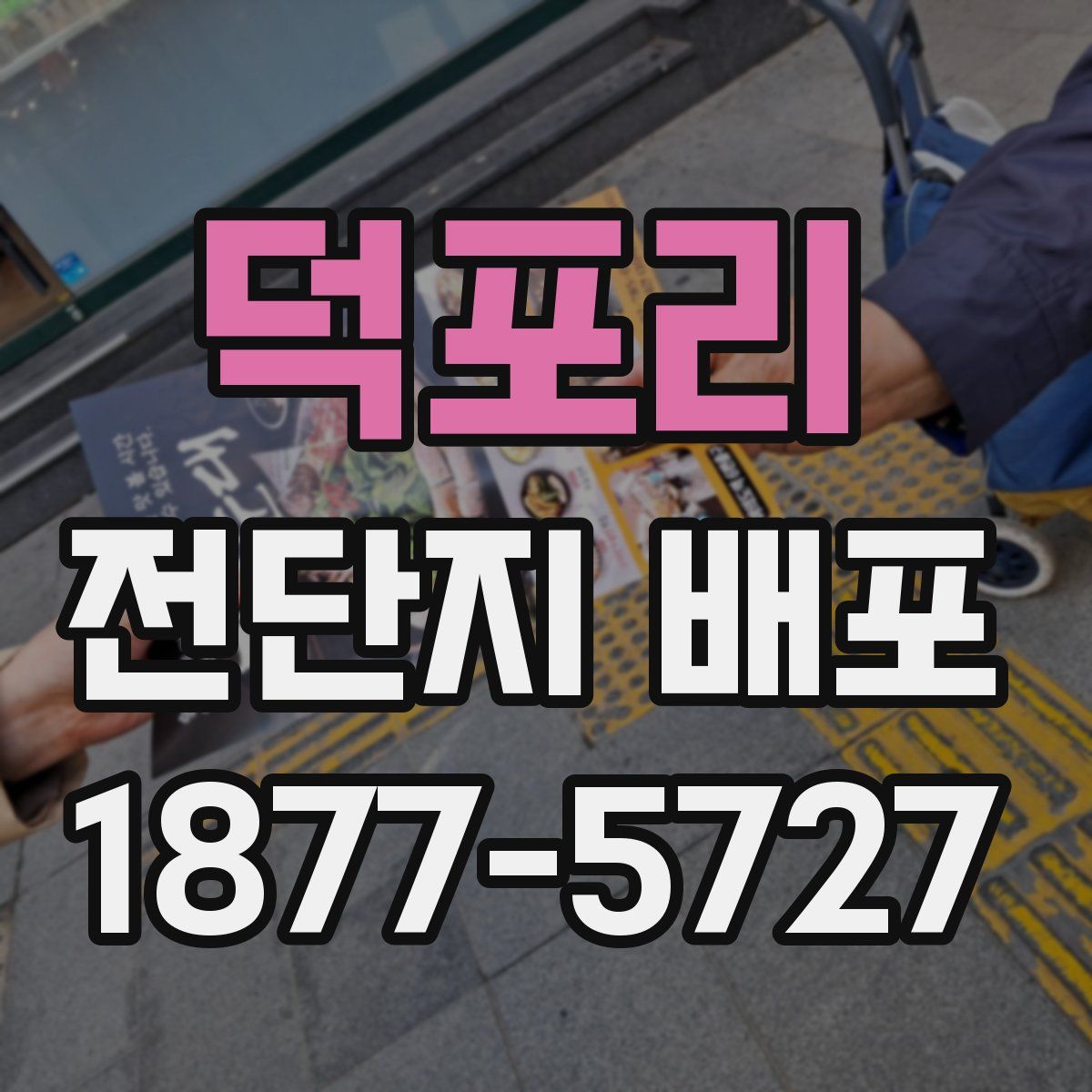 덕포리 전단지 배포