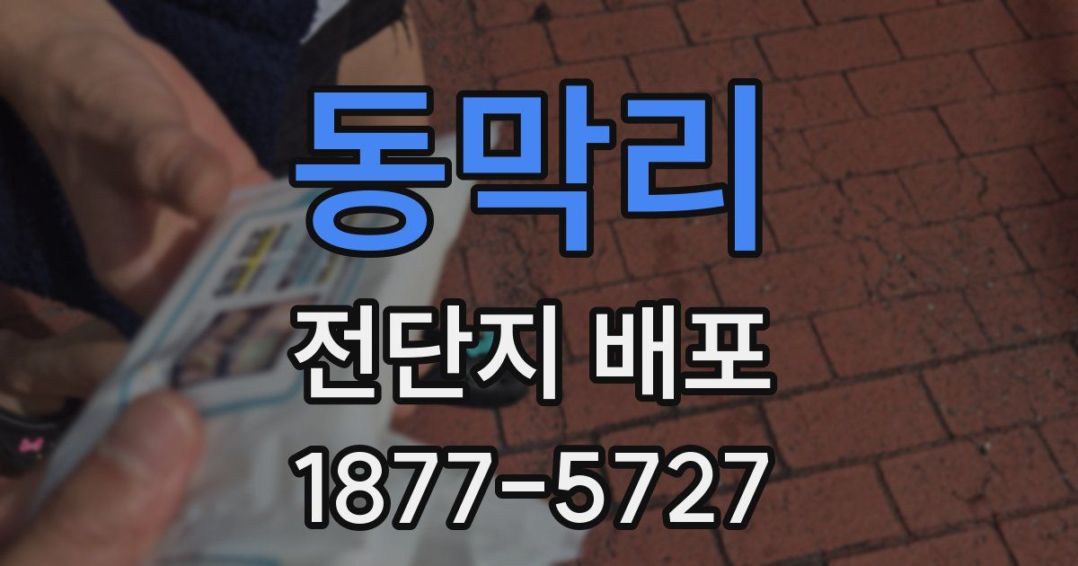 동막리 전단지 배포