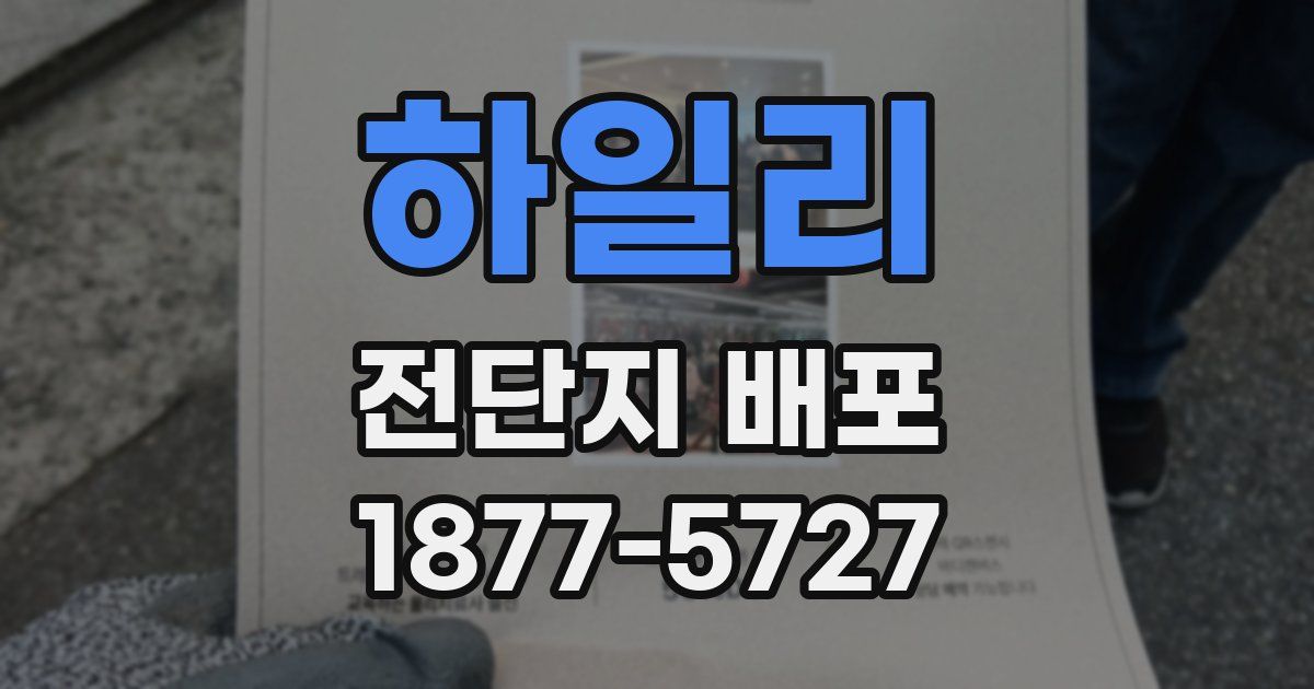 하일리 전단지 배포