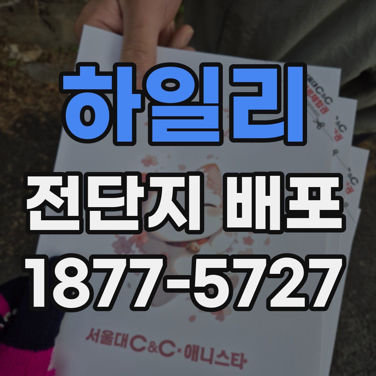 하일리 전단지 배포
