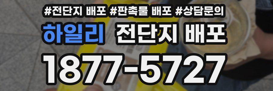하일리 전단지 배포