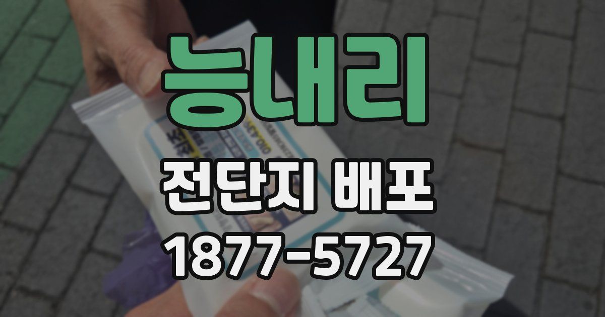 능내리 전단지 배포