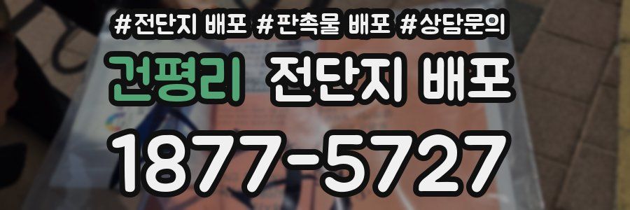 건평리 전단지 배포