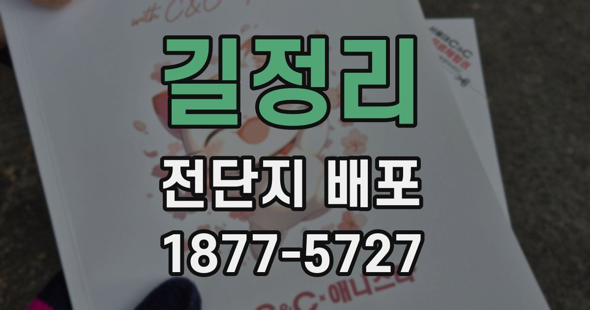 길정리 전단지 배포