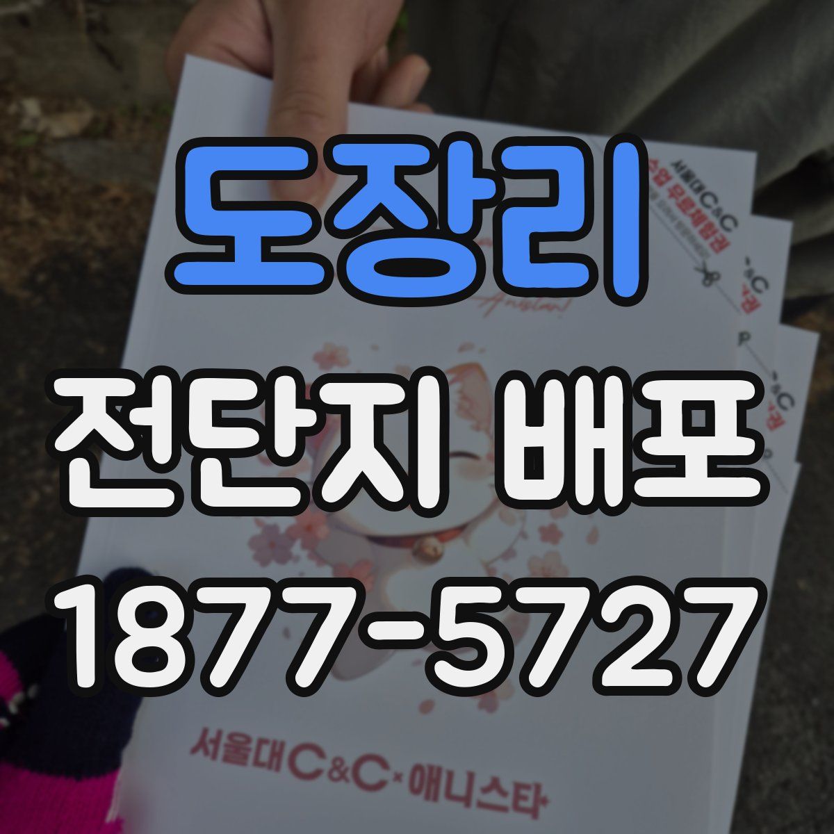 도장리 전단지 배포