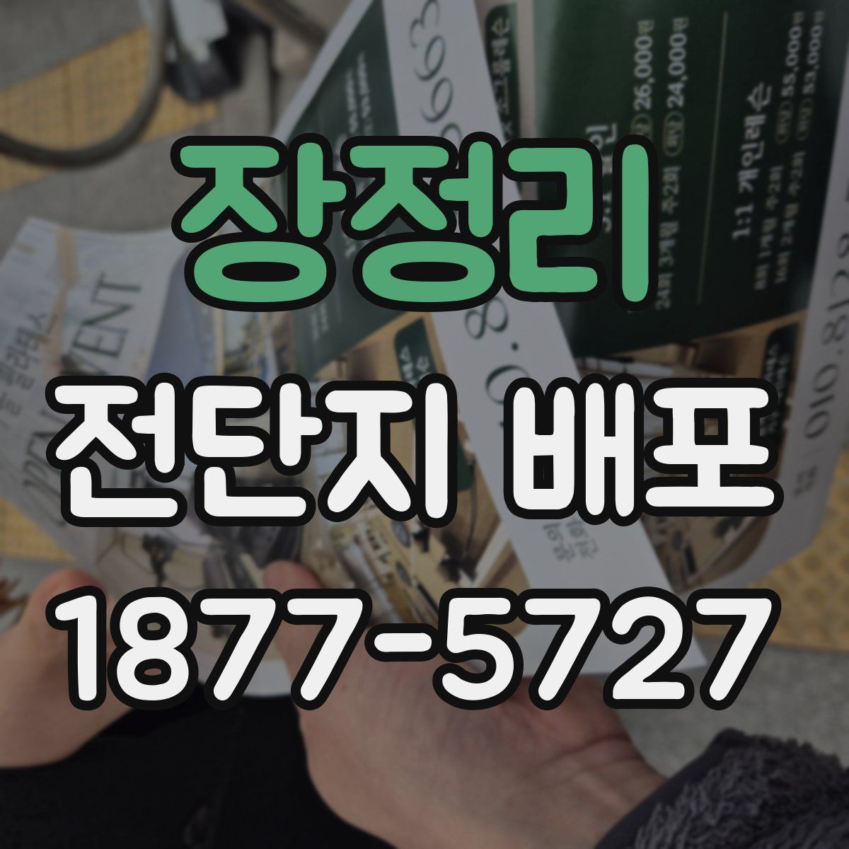장정리 전단지 배포