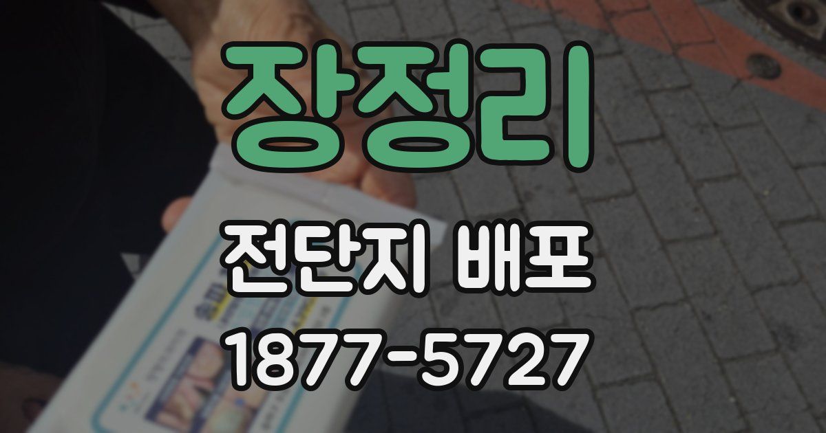 장정리 전단지 배포