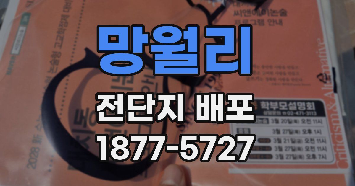 망월리 전단지 배포