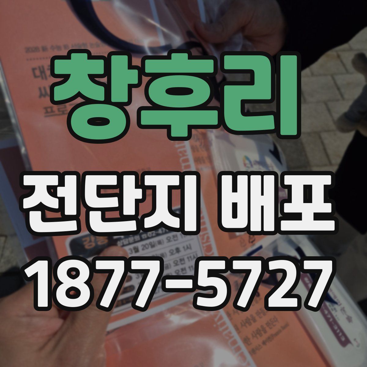 창후리 전단지 배포