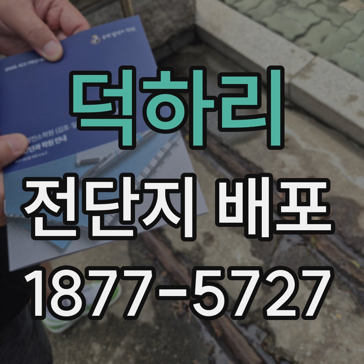 덕하리 전단지 배포