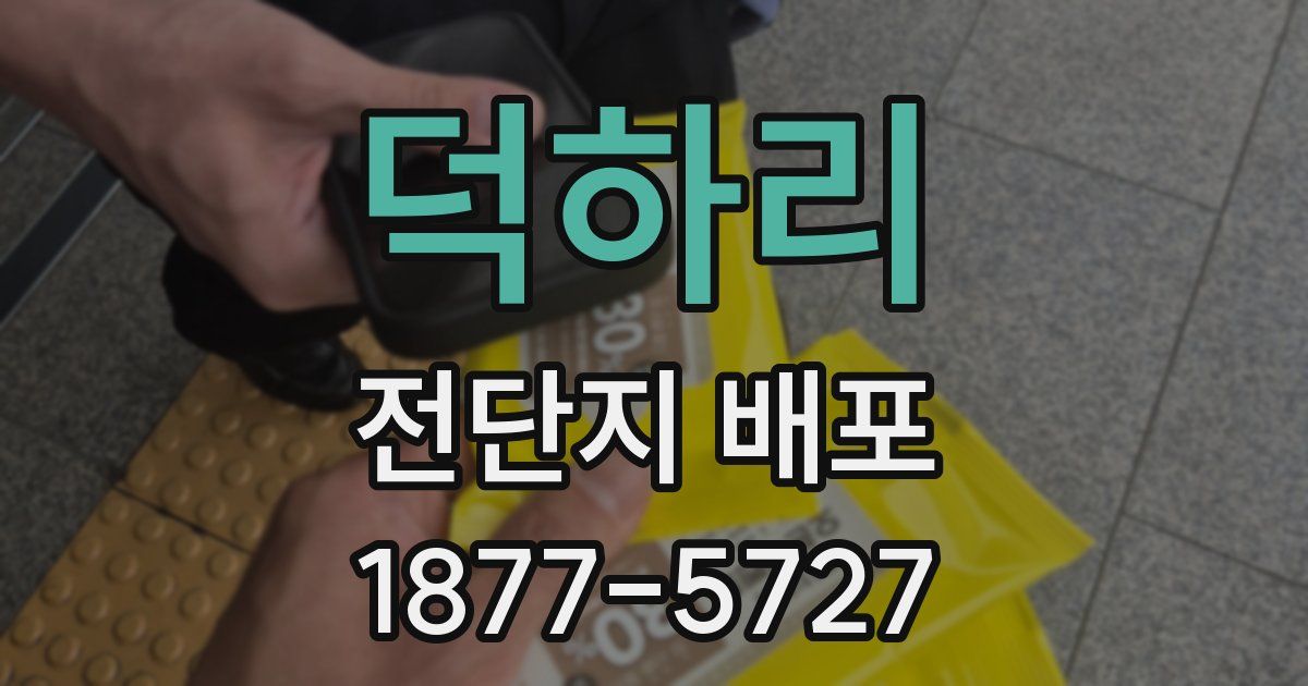 덕하리 전단지 배포