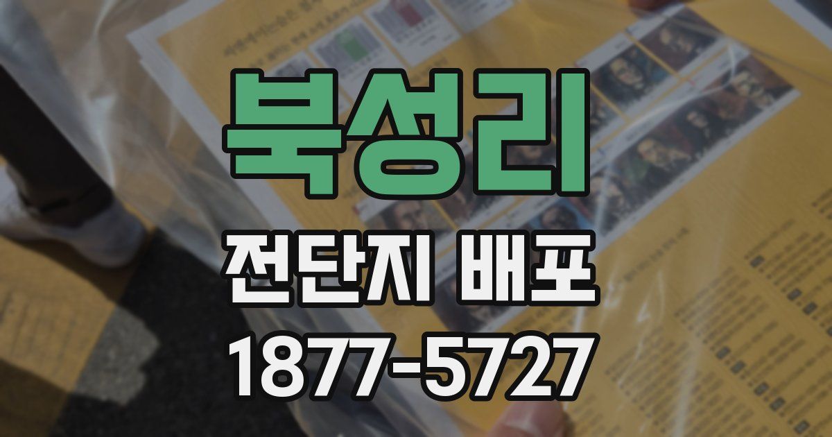 북성리 전단지 배포