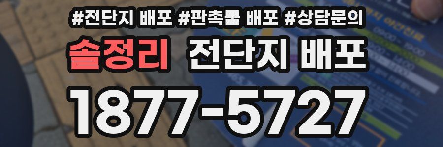 솔정리 전단지 배포