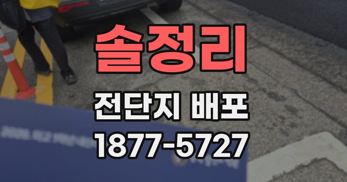솔정리 전단지 배포