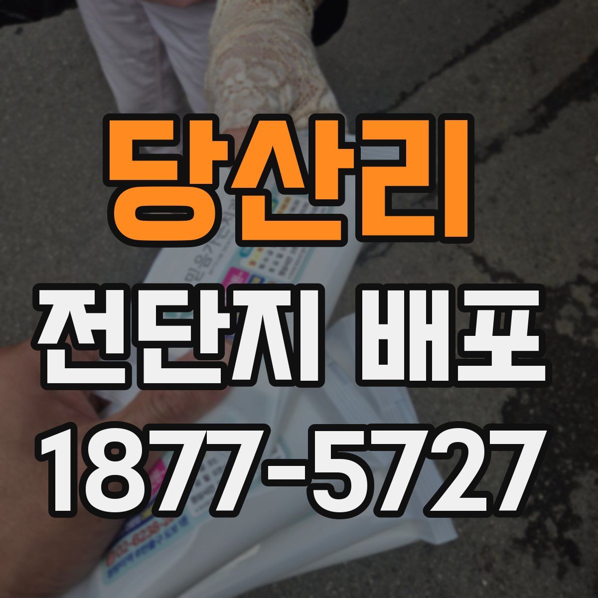 당산리 전단지 배포