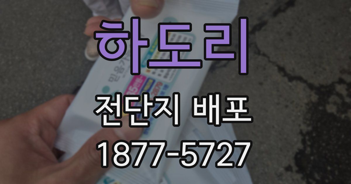 하도리 전단지 배포
