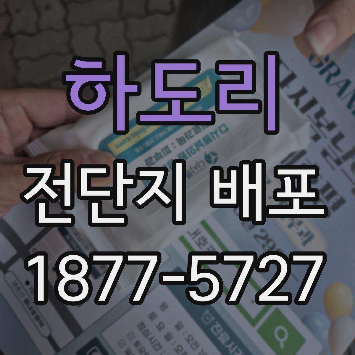 하도리 전단지 배포