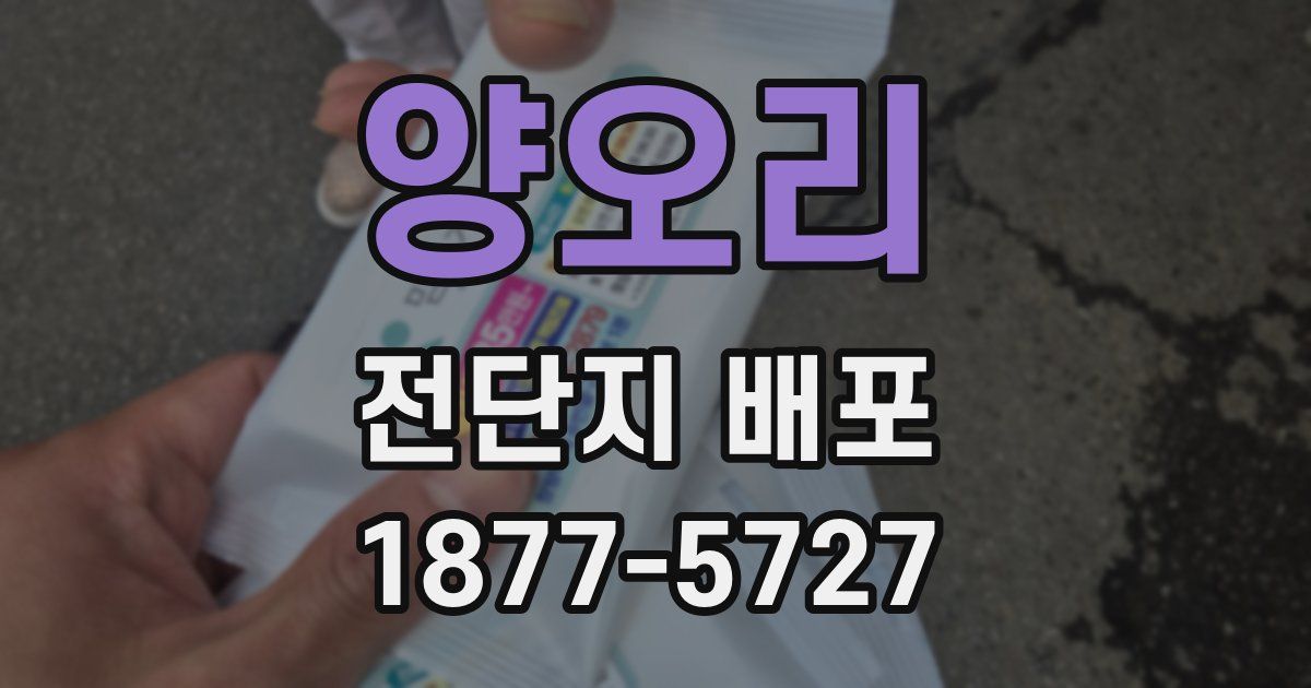 양오리 전단지 배포
