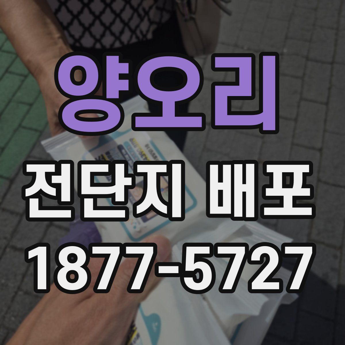 양오리 전단지 배포