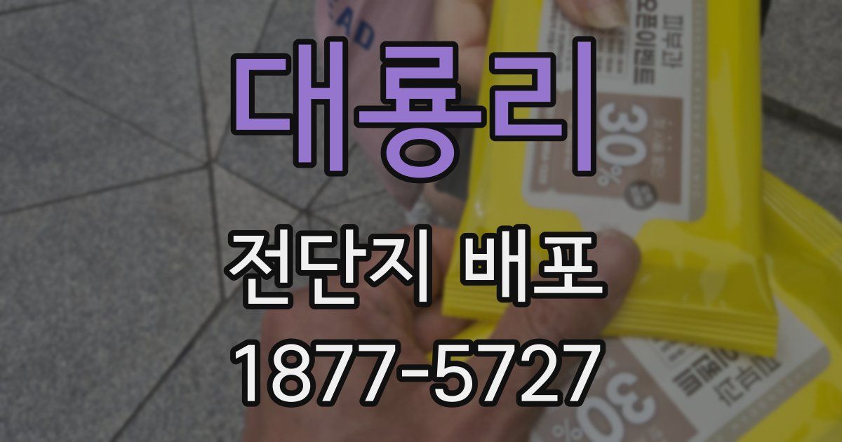 대룡리 전단지 배포
