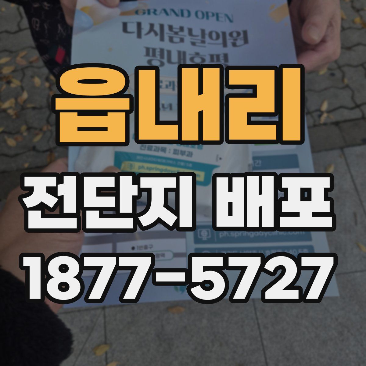 읍내리 전단지 배포
