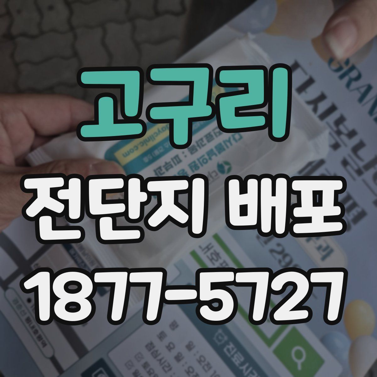 고구리 전단지 배포