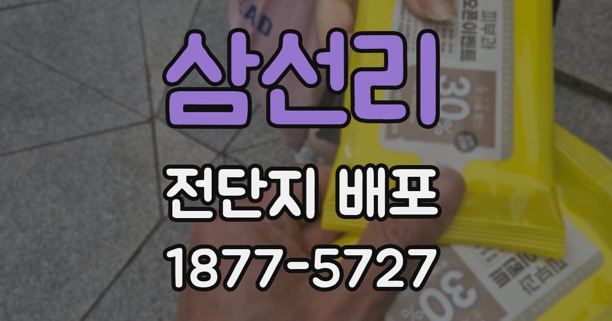 삼선리 전단지 배포