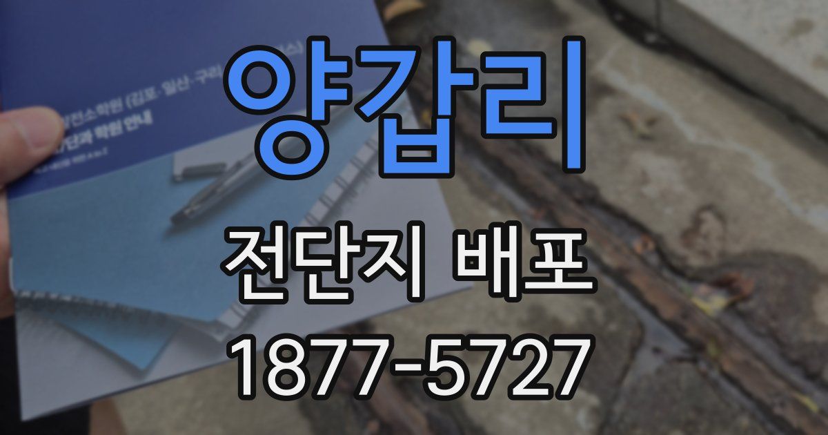 양갑리 전단지 배포