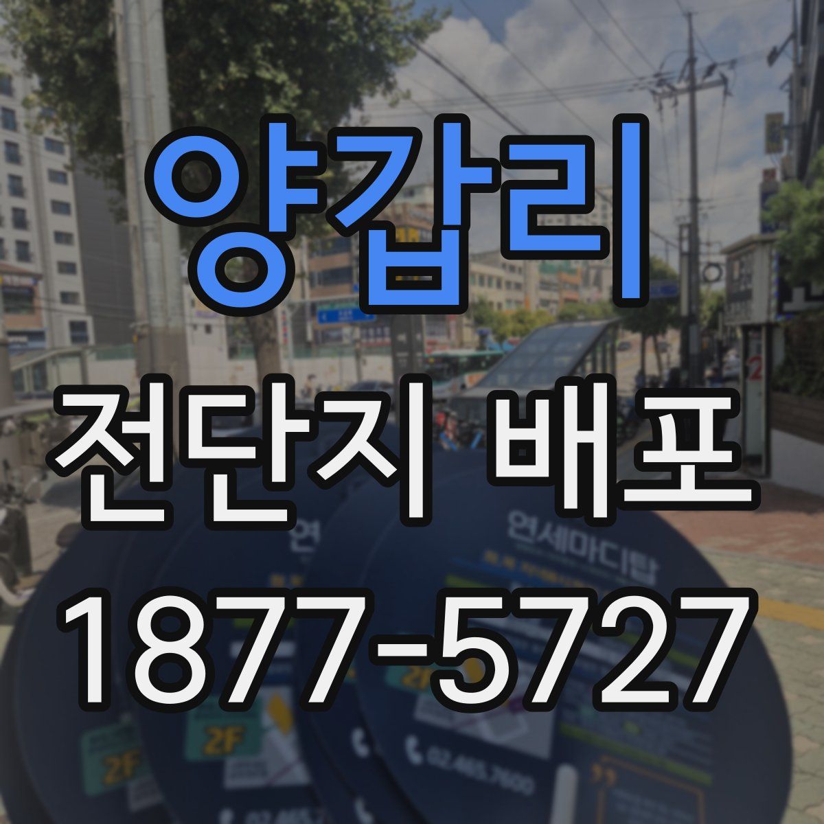 양갑리 전단지 배포