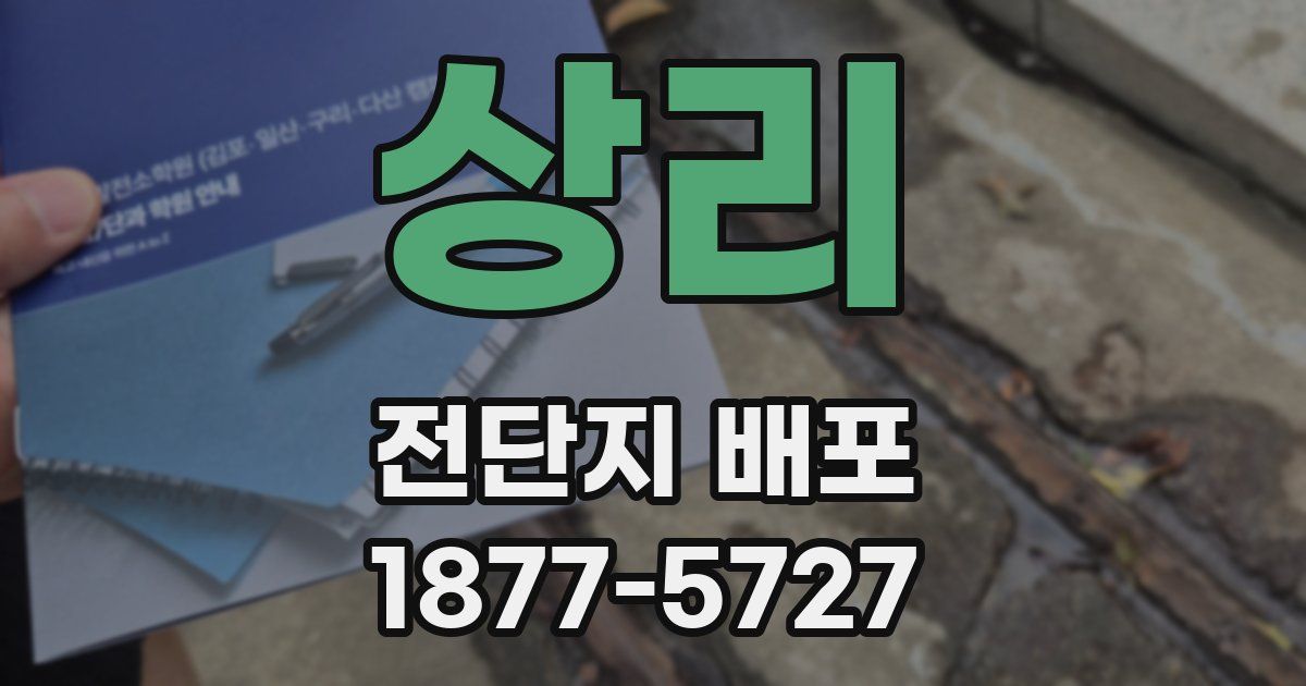 상리 전단지 배포
