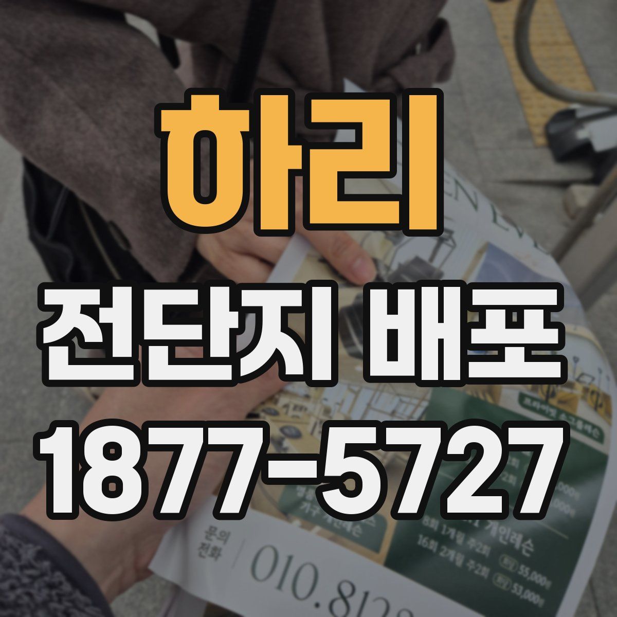 하리 전단지 배포
