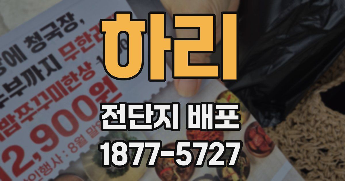 하리 전단지 배포