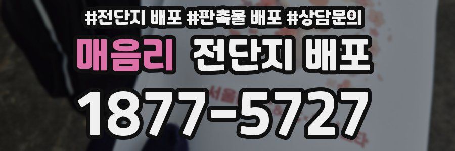 매음리 전단지 배포