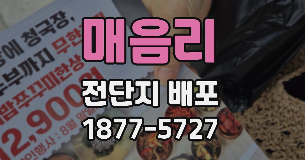 매음리 전단지 배포