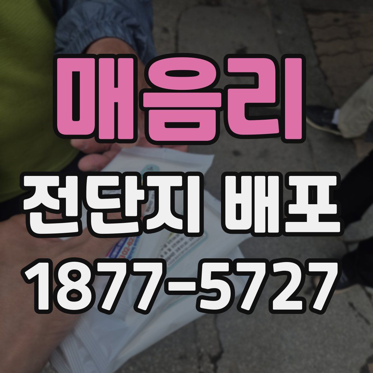 매음리 전단지 배포