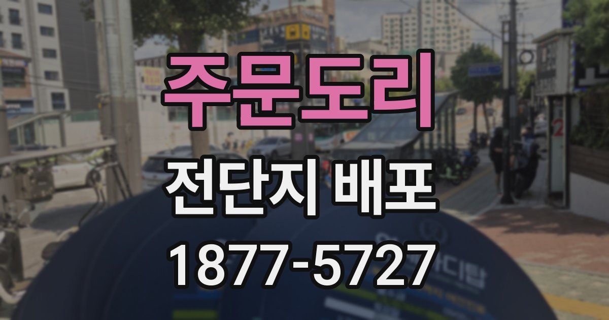 주문도리 전단지 배포