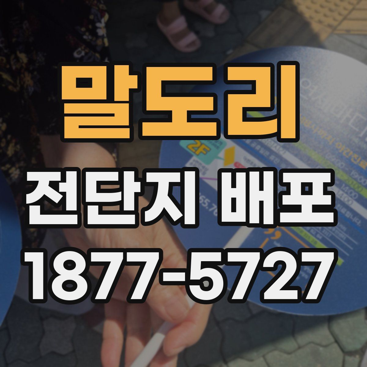 말도리 전단지 배포