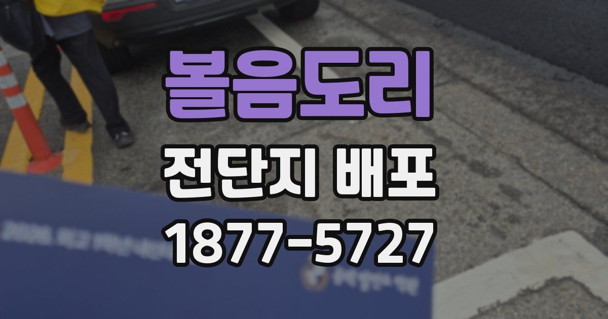 볼음도리 전단지 배포