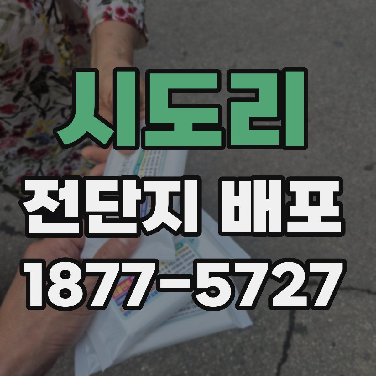 시도리 전단지 배포