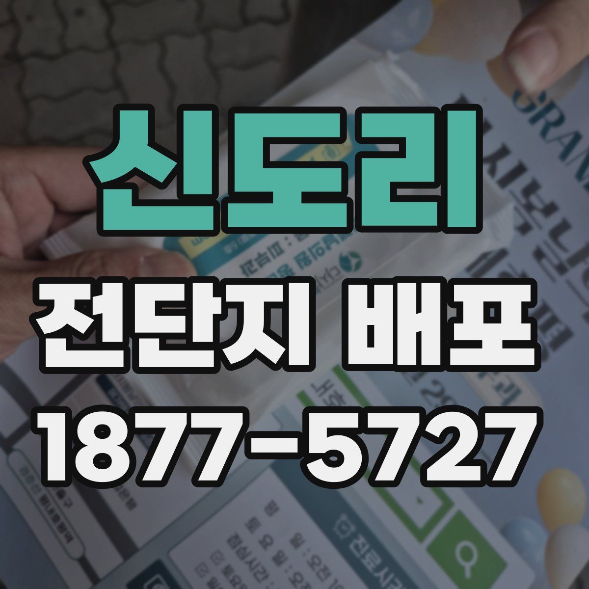 신도리 전단지 배포